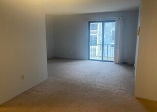 59 Village Brook Ln in Natick, MA - Building Photo - Building Photo