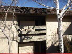 3033 Cashill Blvd in Reno, NV - Building Photo