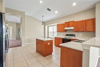 1134 Napolean Way in Wesley Chapel, FL - Building Photo - Building Photo