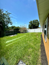 2772 Delaney Ct in Palm Harbor, FL - Building Photo - Building Photo