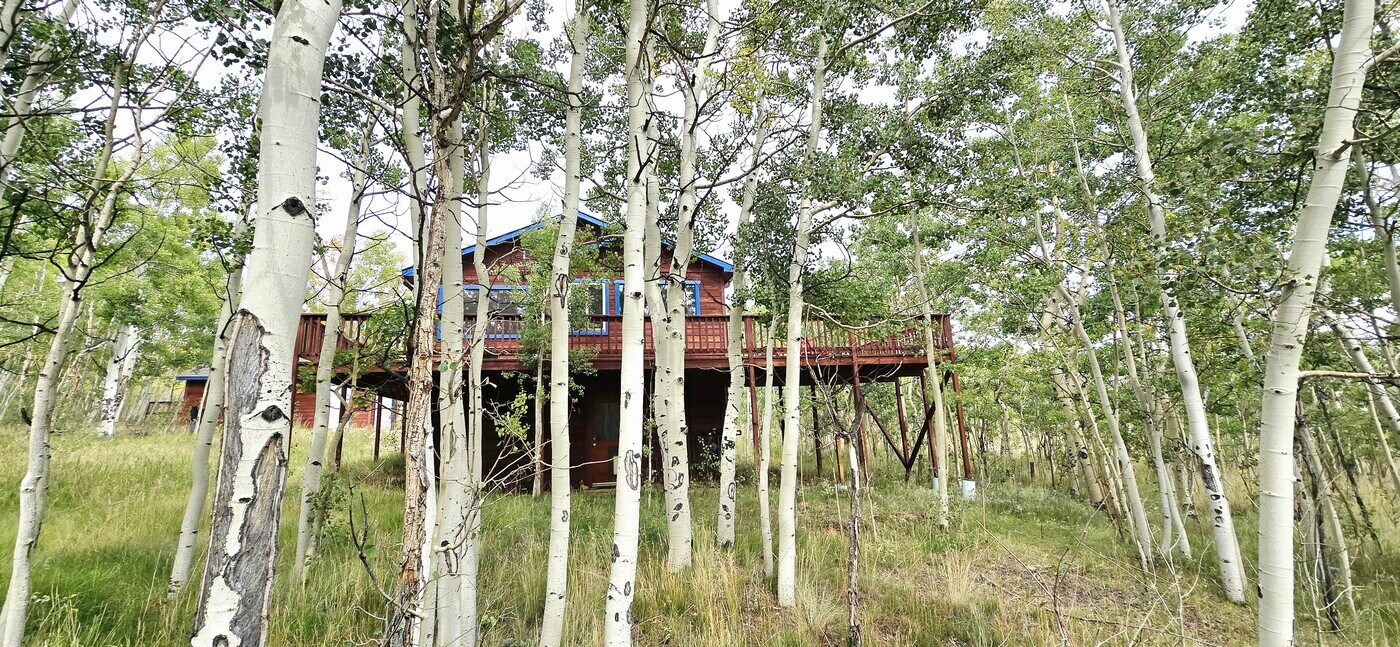 56 Sheep Ridge Rd in Fairplay, CO - Building Photo