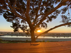 2151 Pacific Ave in Costa Mesa, CA - Building Photo