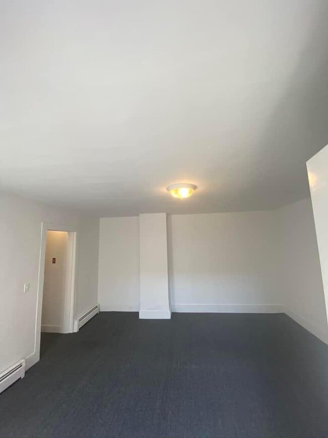 205 Main St, Unit 1st Floor in Delhi, NY - Building Photo - Building Photo