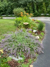 2 Burdon St in Sutton, MA - Building Photo - Building Photo
