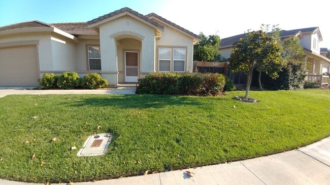 2582 Hepworth Dr in Davis, CA - Building Photo - Building Photo