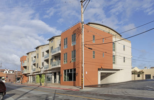 Allium in Gilroy, CA - Foto de edificio - Building Photo