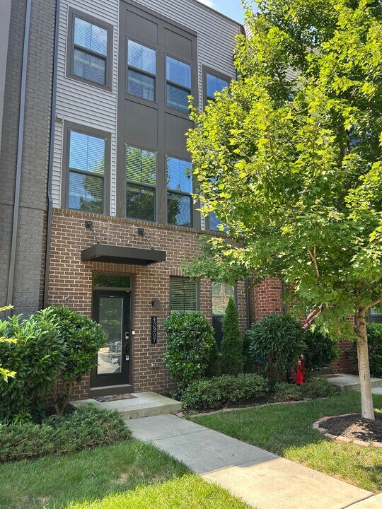 43307 John Michael Ter in Ashburn, VA - Building Photo
