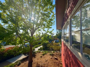4664 Orchard Ave in San Diego, CA - Building Photo - Building Photo