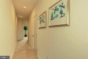 42346 Alder Forest Terrace in Sterling, VA - Building Photo