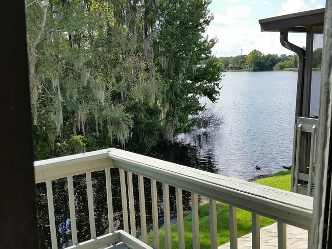 16526 Brigadoon Dr in Tampa, FL - Building Photo - Building Photo