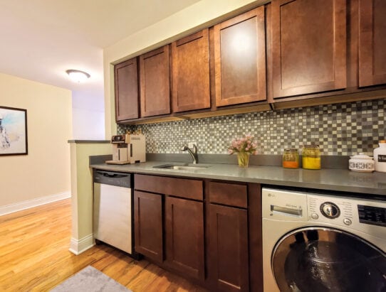 535 W Arlington Pl, Unit 2 in Chicago, IL - Foto de edificio
