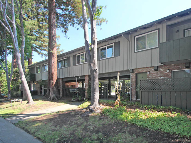 1244 Balboa Court in Sunnyvale, CA - Foto de edificio - Building Photo