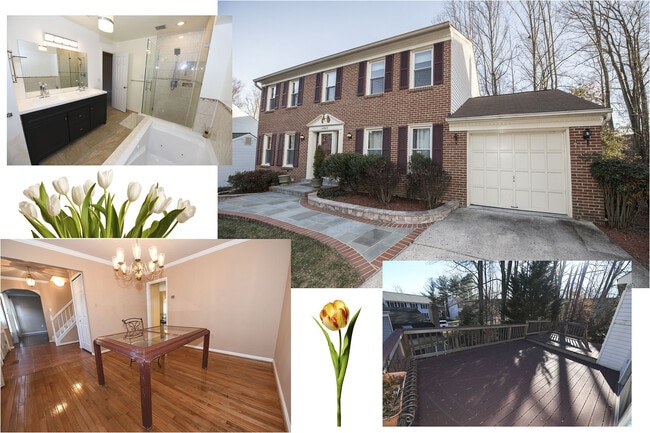 property at 14903 Running Ridge Ln