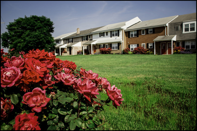 Middletown Manor in Middletown, DE - Building Photo - Building Photo