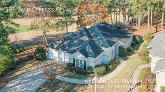 131 Bald Cypress Ct in Aiken, SC - Building Photo