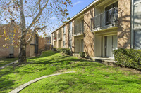 Treehouse in San Marcos, TX - Building Photo - Building Photo