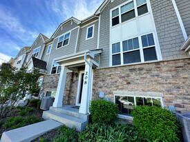 208 Goldenrod Dr in Elgin, IL - Building Photo
