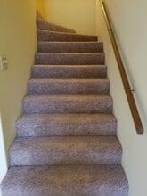 314 Elm St in Oxford, MS - Building Photo - Building Photo