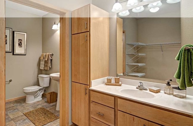 The Adagio in St. Louis Park, MN - Building Photo - Interior Photo