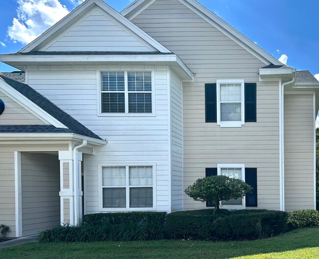 property at 316 Southern Pecan Cir