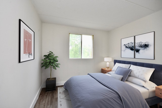 property at 56 Donald St