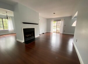 2605 Hemlock Pl in Basking Ridge, NJ - Building Photo - Building Photo