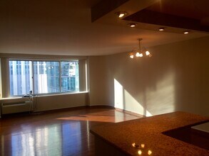 211 E Ohio St, Unit 1621 in Chicago, IL - Building Photo - Building Photo