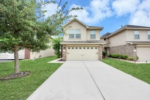 9219 Dewberry Blossom Ln in Houston, TX - Building Photo