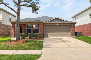 2915 Morton Cove Ln in Katy, TX - Building Photo