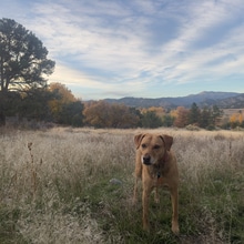 115 Loop Dr in Howard, CO - Foto de edificio - Building Photo
