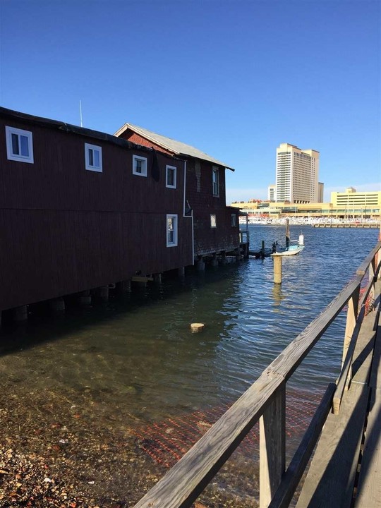 423 Carson Ave in Atlantic City, NJ - Foto de edificio