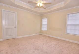 59 Live Oak Trail in Lakeland, GA - Building Photo - Building Photo