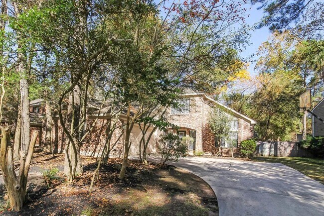 30 Sylvan Forest Dr in Spring, TX - Building Photo - Building Photo