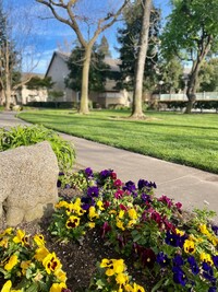 Valley Oak Apartments in Modesto, CA - Building Photo - Building Photo