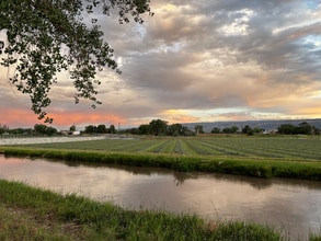 911-924 24 Rd in Grand Junction, CO - Foto de edificio - Building Photo