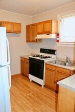 232 Lincoln St in Mankato, MN - Foto de edificio - Building Photo