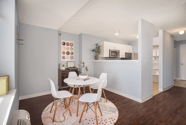 456 E Ohio St in Chicago, IL - Building Photo - Building Photo