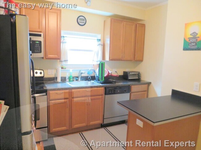 11 Burnside Ave, Unit 1 in Somerville, MA - Building Photo - Building Photo
