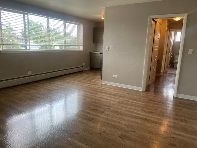 910 S Pearl St in Denver, CO - Foto de edificio - Building Photo