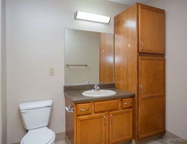 1013 Deer Lakes Dr in Amherst, NY - Building Photo - Building Photo