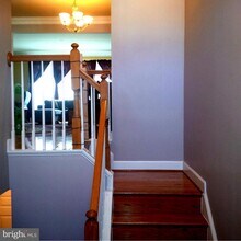 3314 S Kemper Rd in Arlington, VA - Building Photo - Building Photo