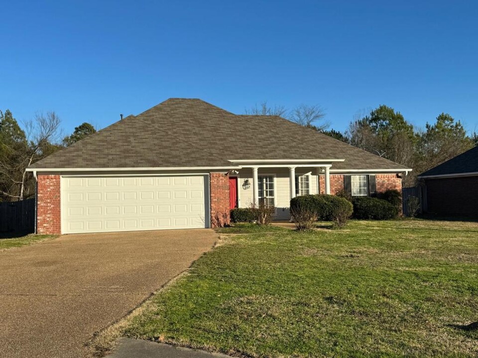 289 Cherry Bark Dr in Brandon, MS - Building Photo