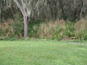 15702 Fishhawk Falls Dr in Lithia, FL - Building Photo - Building Photo