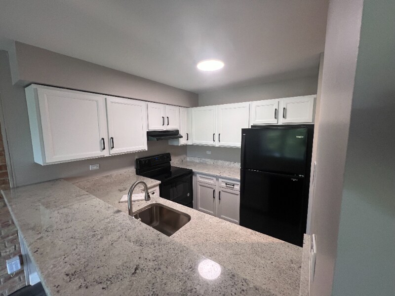 5550 Abbey Dr in Lisle, IL - Building Photo