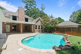 23 Vista Mill Pl in Spring, TX - Building Photo
