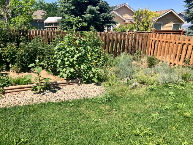 2451 W 44th St in Loveland, CO - Foto de edificio - Building Photo