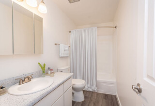 The Sandpiper Apartments in Sacramento, CA - Building Photo - Building Photo