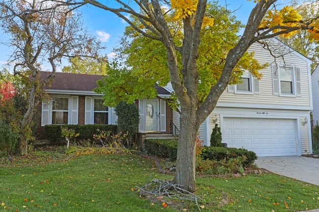 property at 1356 Larchmont Dr