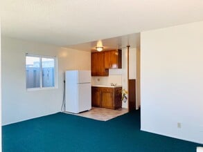 802 Jamaica Ct in San Diego, CA - Building Photo - Building Photo