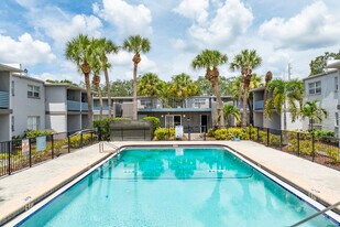 Azure East in Tampa, FL - Building Photo